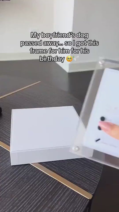 1.mp4